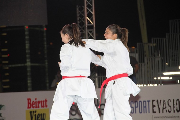 Martial Arts Festival